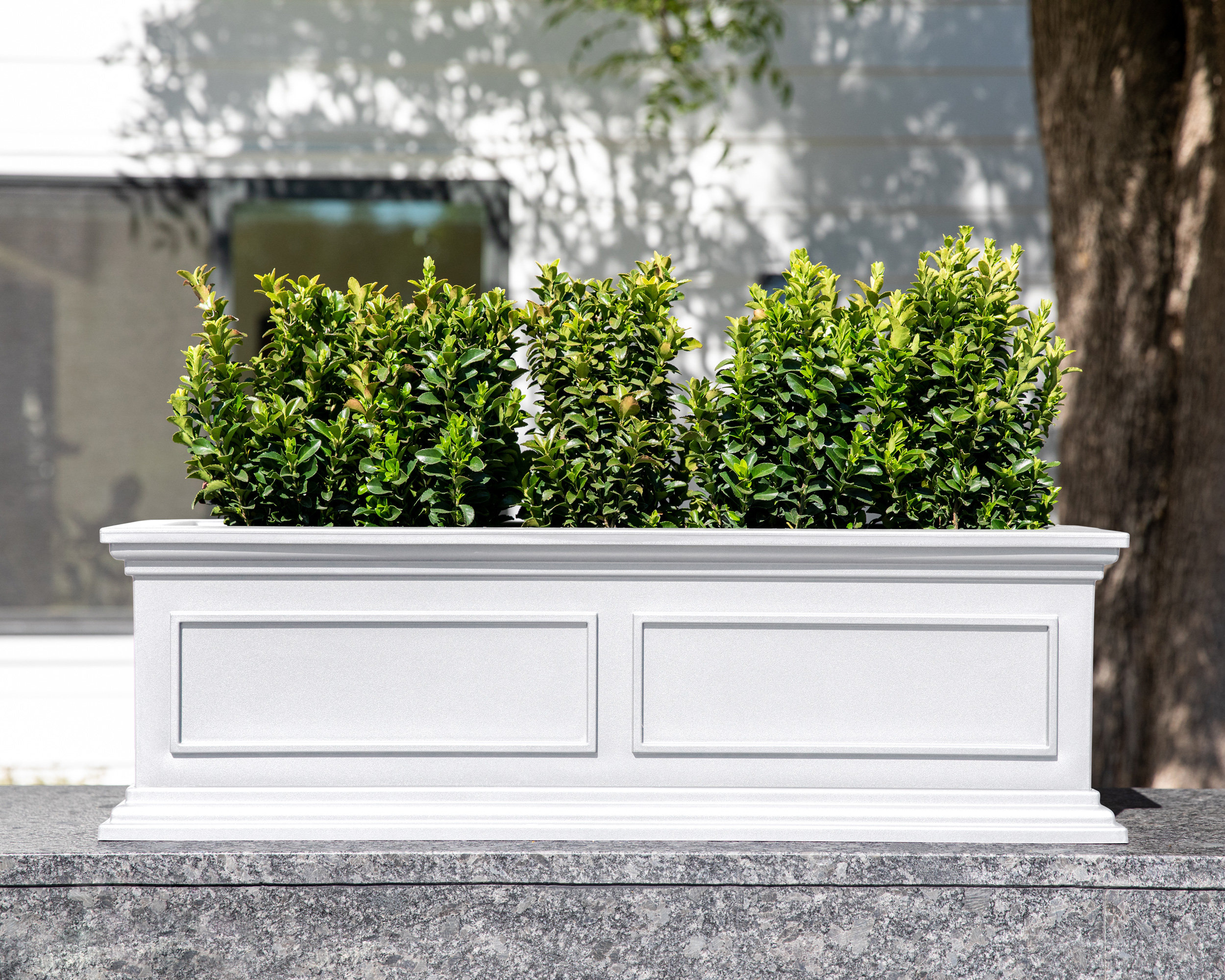 Sol 72 Outdoor™ Abram Window Box Planter & Reviews | Wayfair