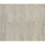 Area Rug in Beige
