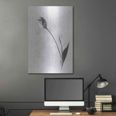 «Soft Tulips II» par Debra Van Swearingen