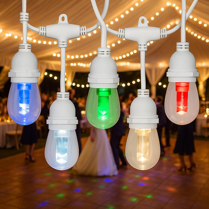 Outdoor Color Changing LED S14 String Lights with Remote, 24 Feet RGB, 12 Shatter Resistant Bulbs on Wire, White