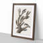 Woodpeckers by John James Audubon - Picture Frame Painting Print-55614552-55614549