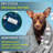 Equator All-in-One Washer Dryer VENTED-DRY 30% FASTER than Condense 15lb 110V-95992608