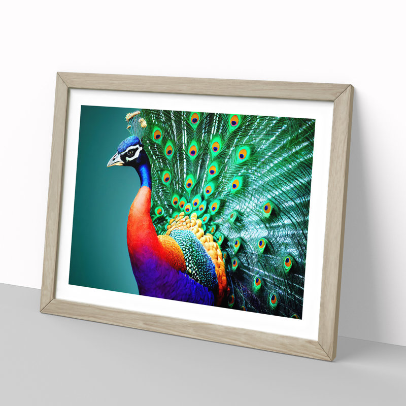 Blossoming Peacock - Single Picture Frame Print, 46cm H x 64cm W x 2cm D, Oak Framed
