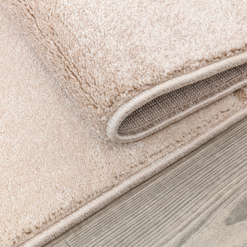  Tapis 4 x 6 pi de qualité supérieure | Petit tapis pour la décoration intérieure | Beige crème, Rectangle 10 pi x 14 pi 2 po