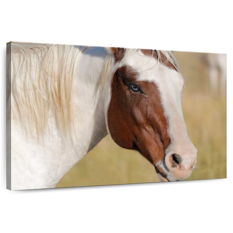 Brampt Blue Eyed Beauty, 32" H x 48" W