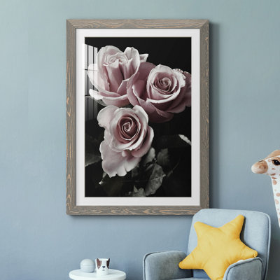 Rose noire I - photographie