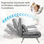 Upholstered Accent Chair