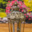 17,75 po Grand terrarium en fer / verre Bella Bella-131335645