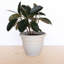 Pot à fleurs intérieur / extérieur Traditional-927975567-812177649