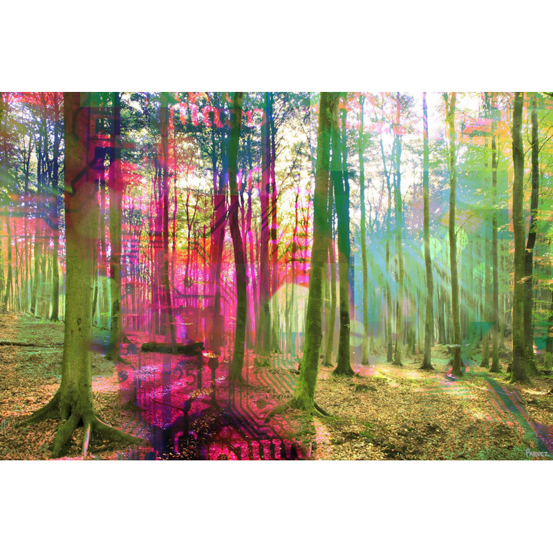 Parvez Taj - Wrapped Canvas Print, 101cm H x 152cm W