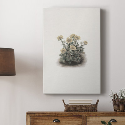 Motif floral rétro CC - galerie Cavas