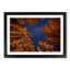 Forest Stars in Canada - Picture Frame Graphic Art Print-55724162-55724164
