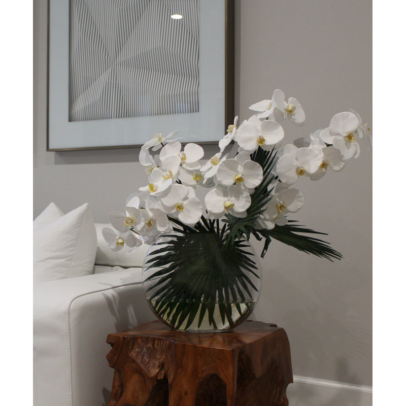 Phalaenopsis Orchid Floral Arrangement in Vase