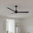 Alessandra 56'' Ceiling Fan-1813772026-1813771988