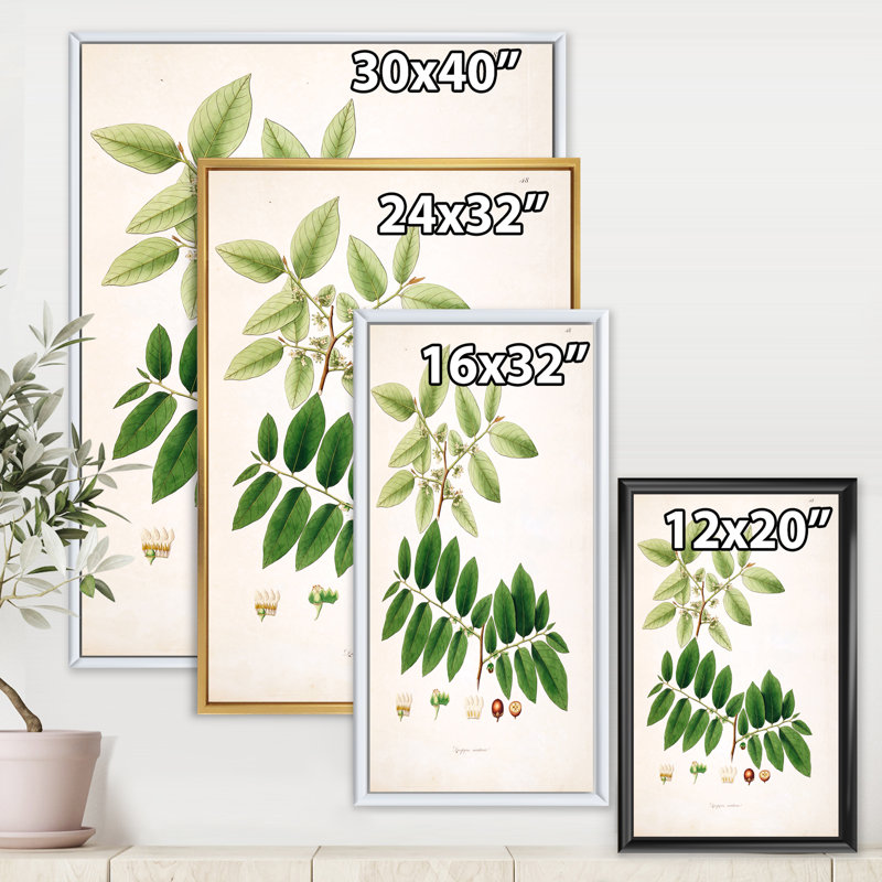 "Vintage Botanicals" - Peinture sur toile, H 32 po x l 16 po x P 1 po, Cadre flottant blanc