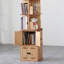 Bibliothèque rotative Burlywood