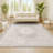 Isenberg Cottage Medallion Ivory/Gray Rug-1715696051