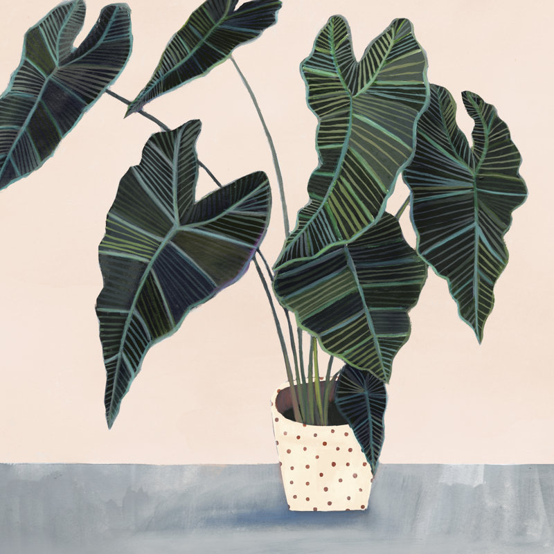 Houseplant II by Victoria Borges - Wrapped Canvas Painting, 30cm H x 30cm W