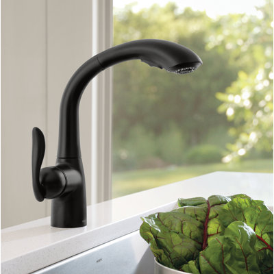 Arbour Single handle Kitchen Faucet