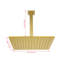 Pomme de douche à pluie Pomme de douche à haute pression à économie d'eau-118580370