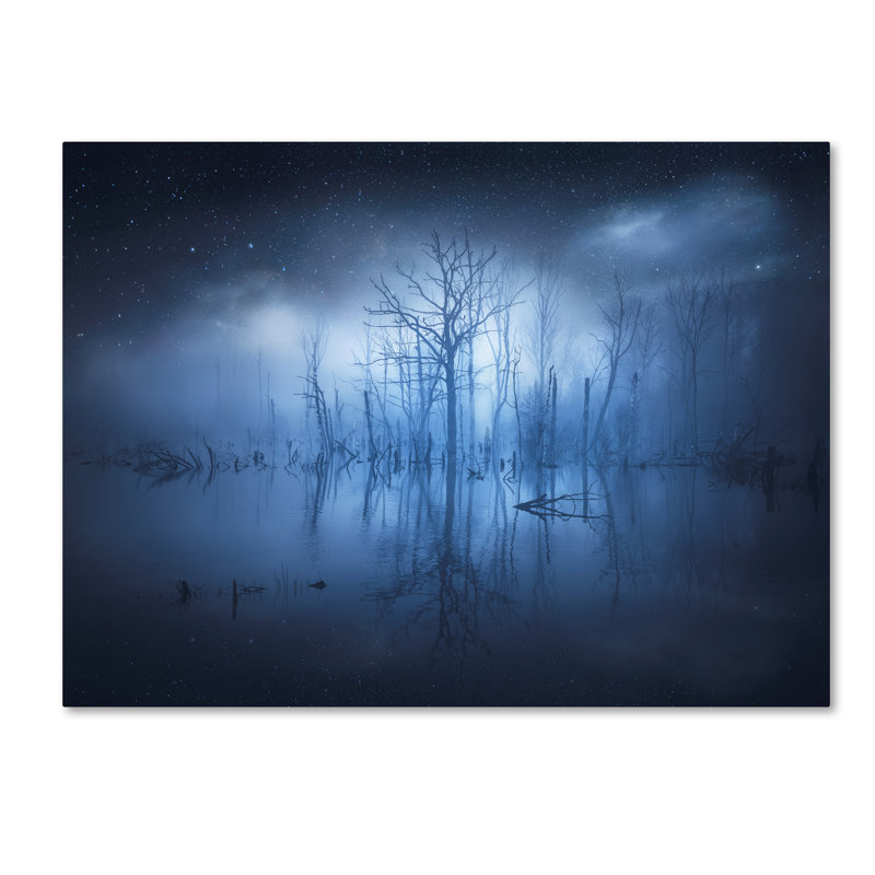« étranger things », impression sur toile tendue, H 14 po x l 19 po