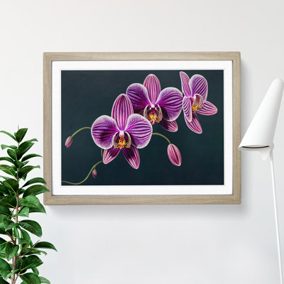 Sensational Orchid Flowers - Framed Print