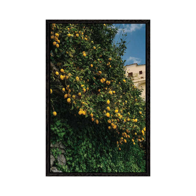Amalfi Coast Lemons II by Bethany Young - Print on Canvas, 101.6cm H x 66.04cm W x 3.81cm D, Black Framed