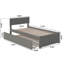 Amodio Solid Wood Platform Bed with Panel Footboard & Trundle