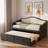Wooden Daybed With Trundle, 2 Storage Drawers And Upholstered Button Tufted Backrest-477182879