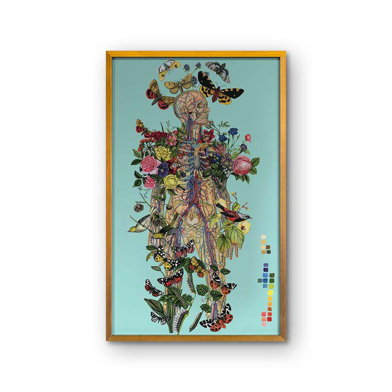 Anatomical Botanical Blue Print by Thicket Design, 50" H x 31" W