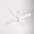 Ball 52'' Ceiling Fan with LED Lights-386566817-386566878-386566879