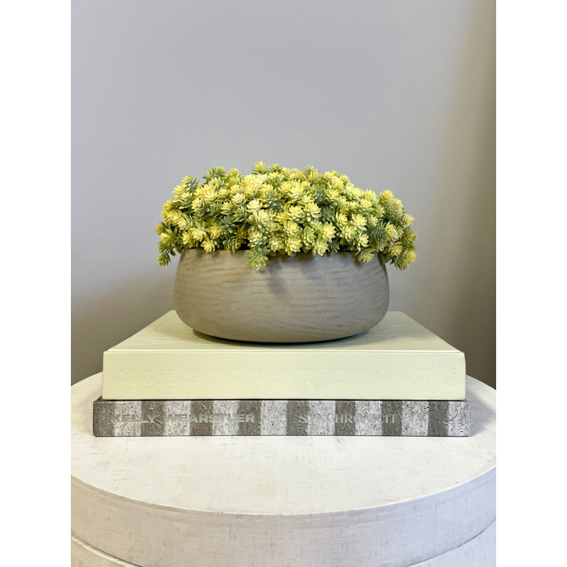 Composition de Sedum dans un pot en fibre de pierre, H 10 po x l 15 po x P 15 po