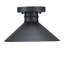 Watts Creek 11-inch One-Light Outdoor Semi-flush Ceiling Fixture, Dark Sky Friendly