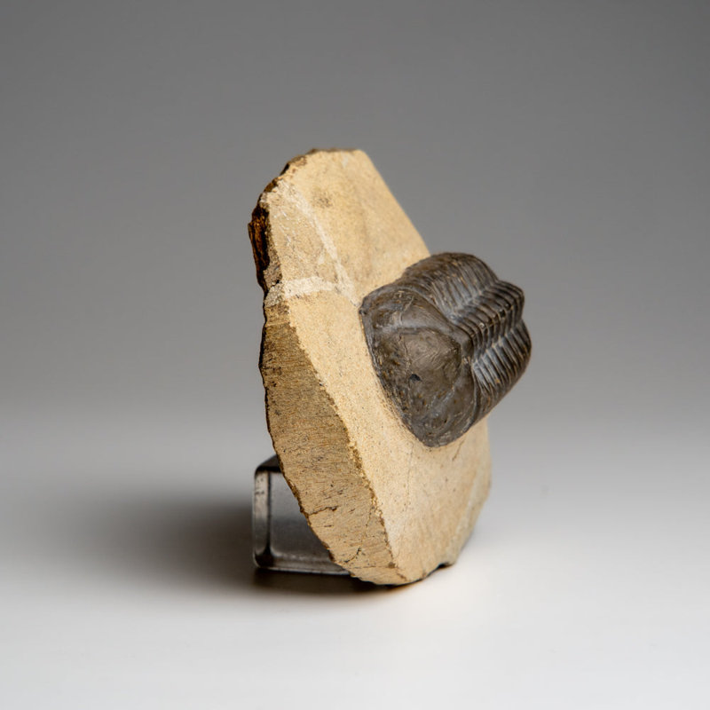 Stone Decorative Object