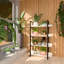 Multifuction Bookcase With Solid Wood Frame,Mix Colour Plant Standing For Home Decro