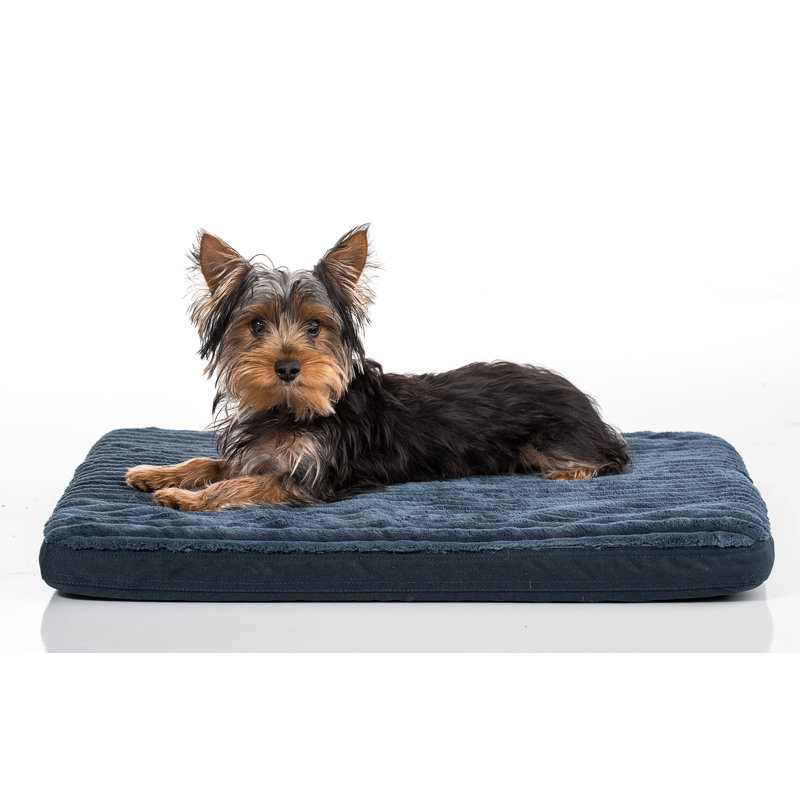 Coussin de coyote caisse Shearin, Bleu marine, Grand (l 28 po x P 42 po x H 2,5 po)
