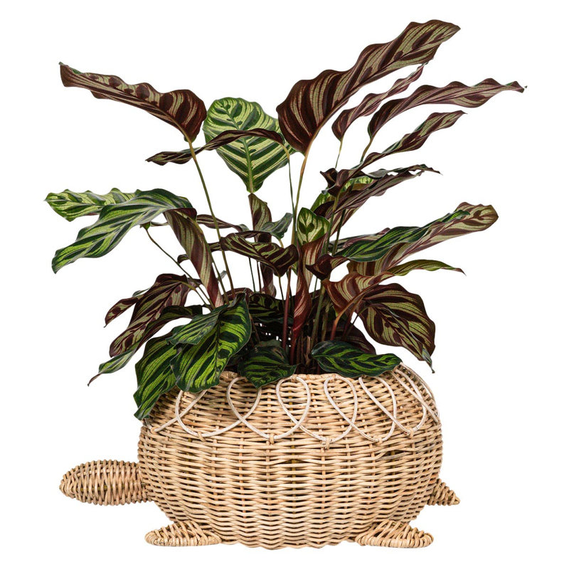 Juliska Provence Rattan Rattan Decorative Basket