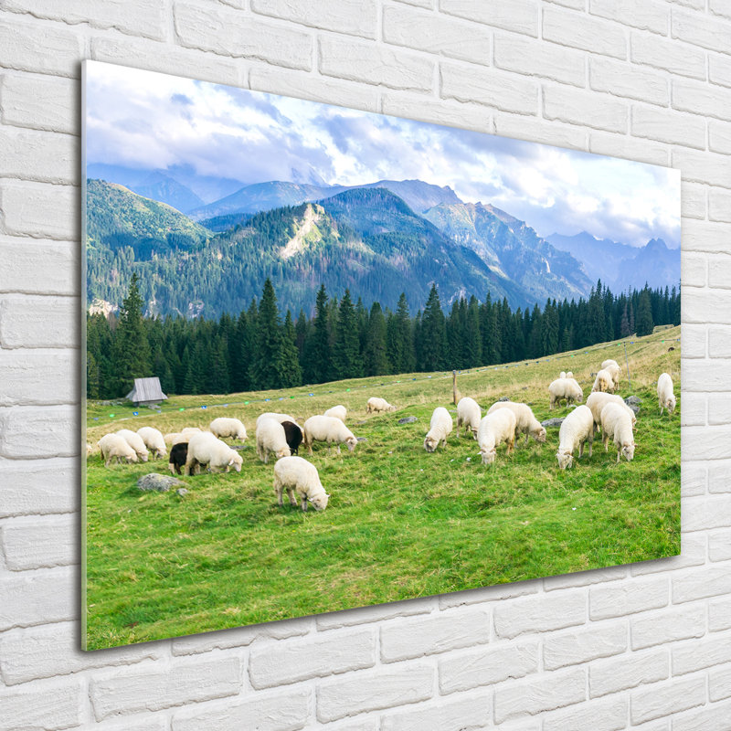 Sheep In The Tatras - Unframed Art Prints on Glass