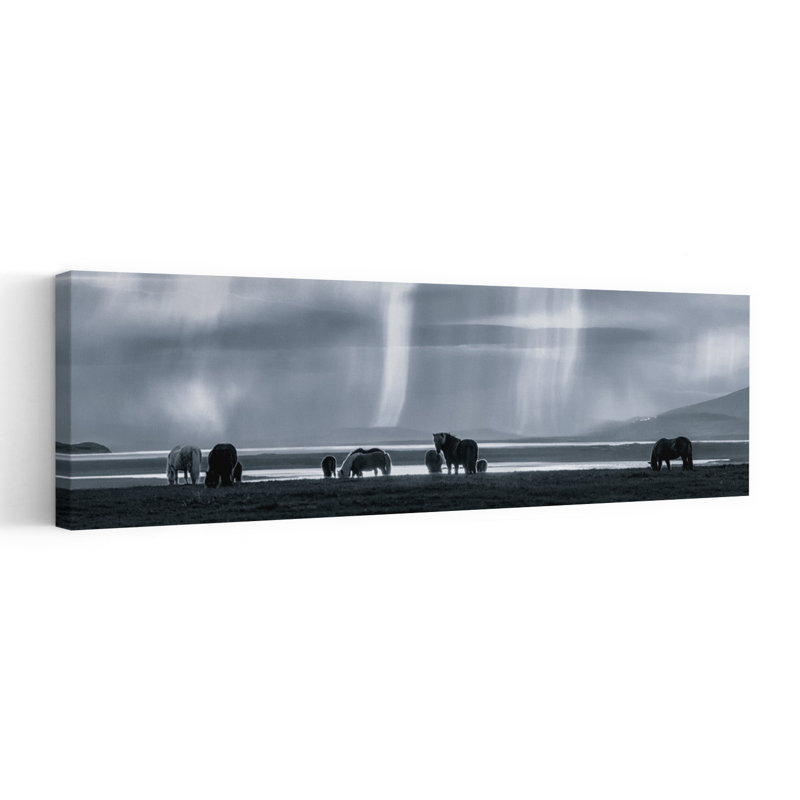 Horses Under Northern Light by John Qu - Wrapped Canvas Panoramic Print, 40.64 cm H x 121.92 cm W