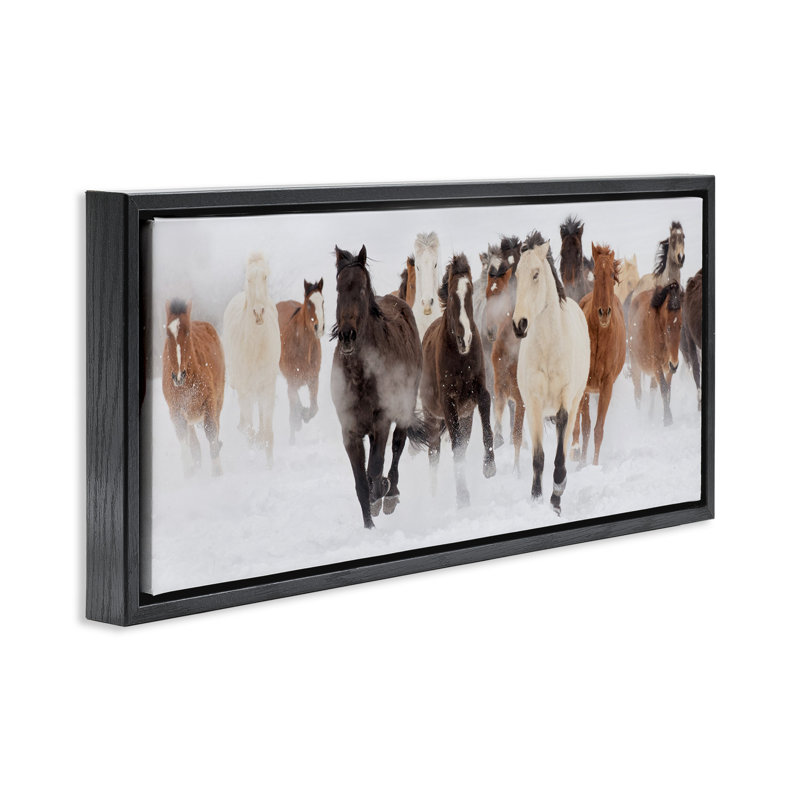 Troupeau de chevaux sauvages en hiver brumeux, H 11 po x l 25 po, Cadre flottant noir de jais