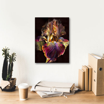 " Iris " by PhotoINC Studio