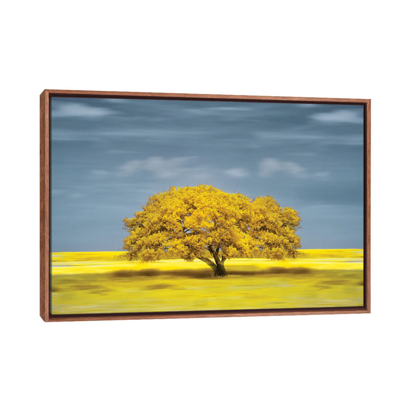 Lonely Yellow on the Field 1 Piece Floater Frame Wall Art on Canvas, 66.04 cm H x 45.72 cm W, Brown Floater Frame