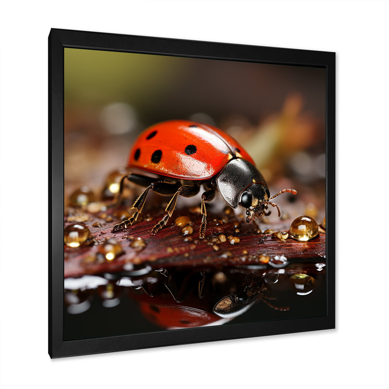 Reproduction sur toile d'une coccinelle animée, H 16 po x l 16 po x P 1 po, Cadre simple noir