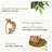 Ficus Artificial Tree with Curved Trunk