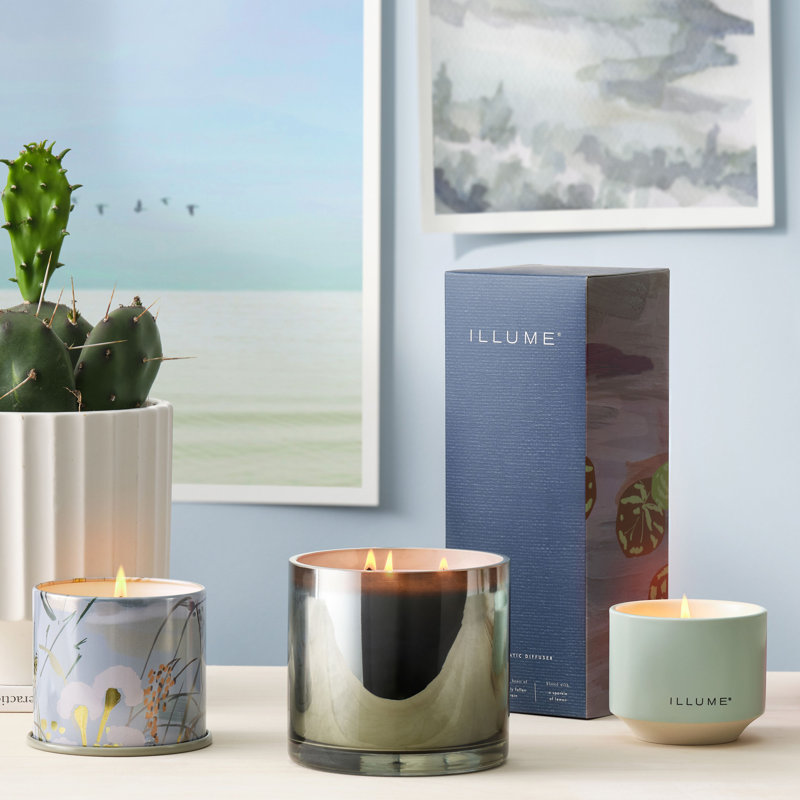 Beautifully Done Hidden Lake Aromatic Diffuser