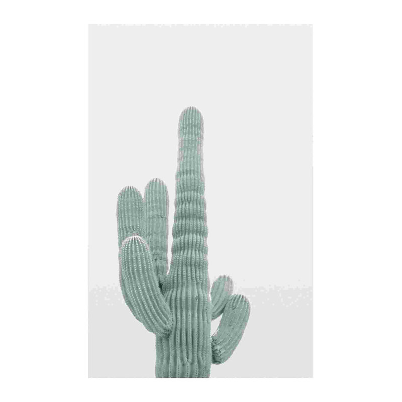 Cactus sépia, H 30 po x l 20 po
