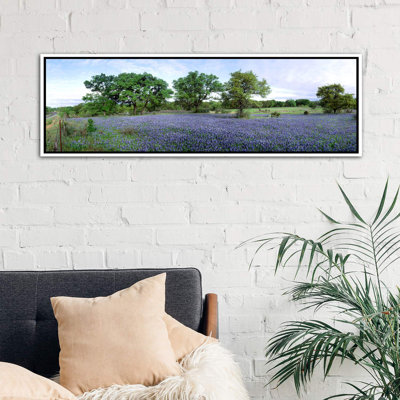 " Field of Bluebonnets, Hill County, Texas, USA " Color Photography Print