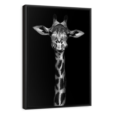 Tête de girafe monochrome