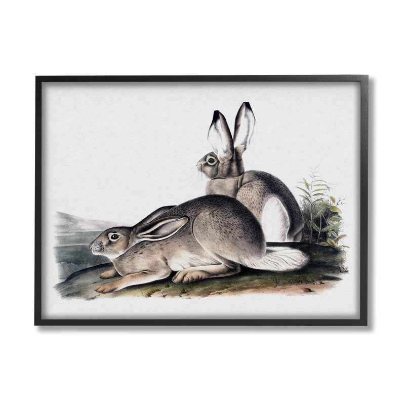 Reproduction d'art giclée par des lapins, Giclée encadrée noir minuit, H 11 po x l 14 po x P 1,5 po