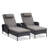 Dahlyla Outdoor Reclining Chaise Lounge Chairs with Cushions(Set of 2)-527296089-527296102